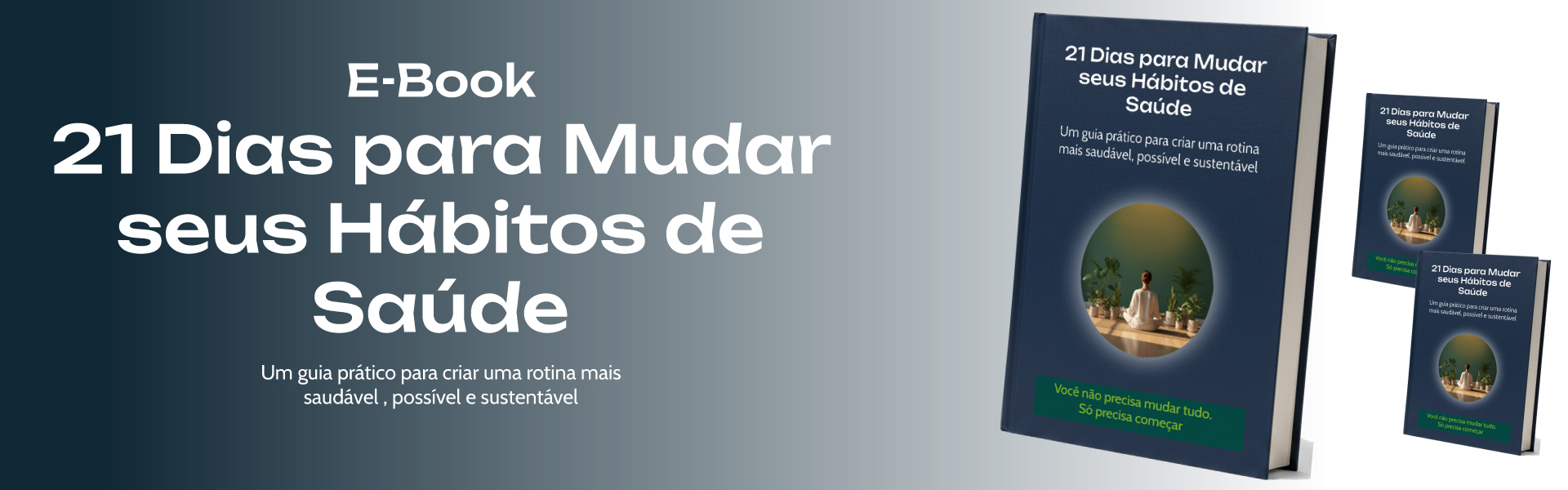 capas site ebooks 21dias